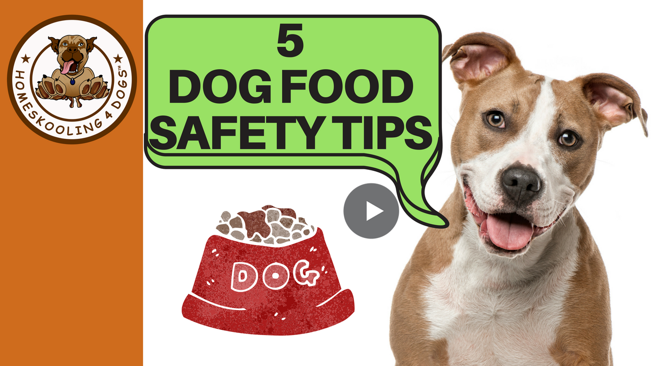 Pet Food Storage Homeskooling 4 Dogs